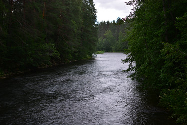 Similar image 21609306