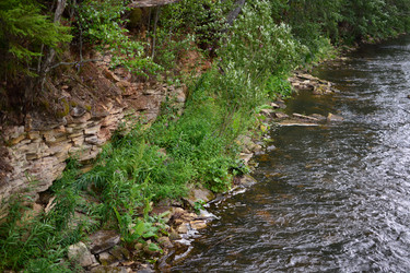 Similar image 21609307