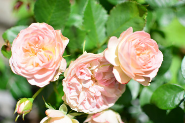 Similar image 21609315