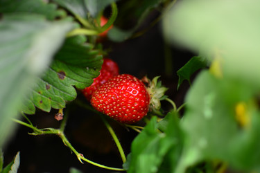 Similar image 21609316