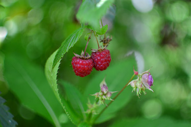 Similar image 21609317