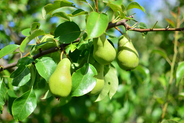 Similar image 21609320