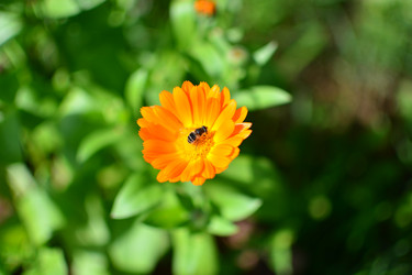 Similar image 21609321