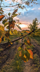 Similar image 21609324