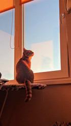 Similar image 21609327