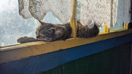 Similar image 21609329