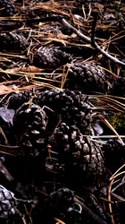 Similar image 21609330