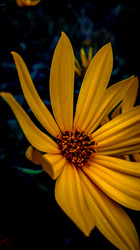 Similar image 21609331