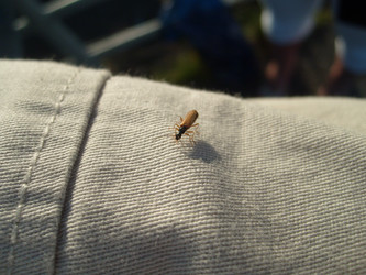 Similar image 21627208