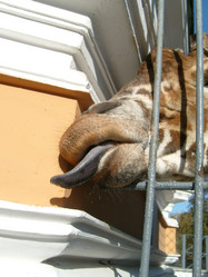 Similar image 21627596