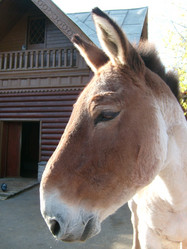 Similar image 21627607