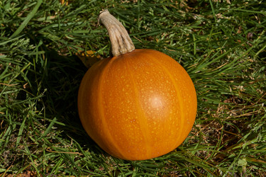 Similar image 21609352