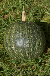 Similar image 21609353