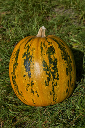 Similar image 21609354