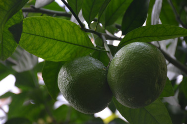 Similar image 21611198