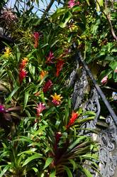 Similar image 21621115