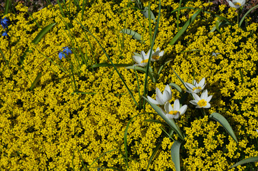 Similar image 21621150