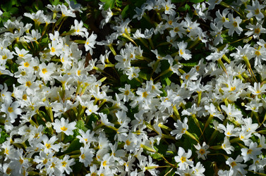 Similar image 21621151