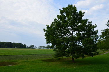 Similar image 21611203