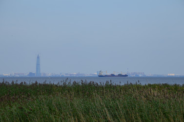 Similar image 21611204