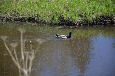 Similar image 21621154