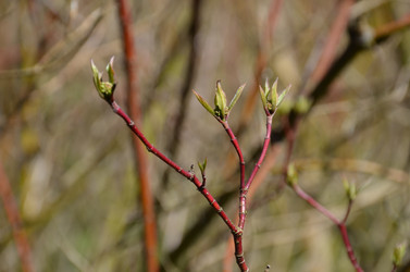 Similar image 21621155