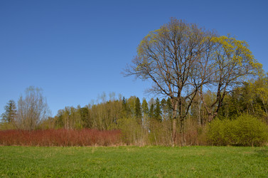 Similar image 21621156