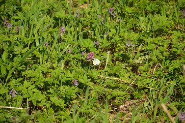 Similar image 21621157