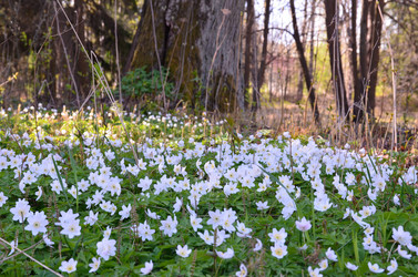 Similar image 21621158