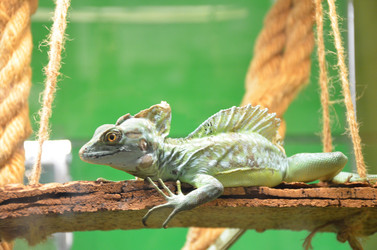 Similar image 21621159