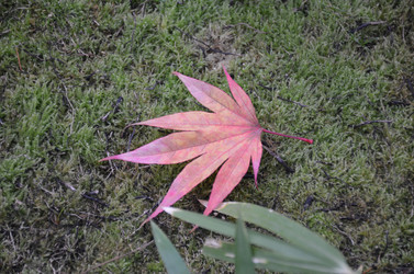 Similar image 21611213