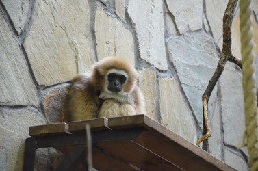 Similar image 21621160