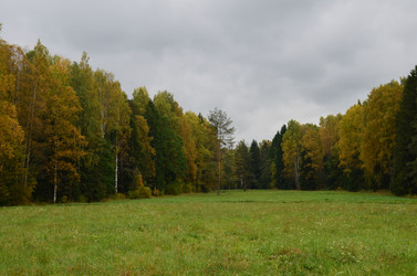 Similar image 21611215