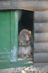 Similar image 21621161