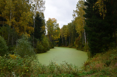 Similar image 21611216