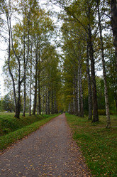 Similar image 21611218