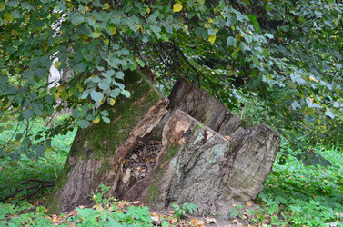 Similar image 21611219