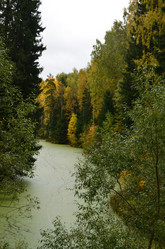 Similar image 21611221