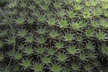 Similar image 21611225