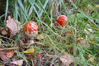 Similar image 21611227