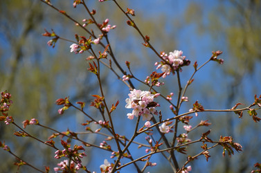 Similar image 21613489