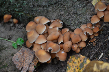 Similar image 21611232