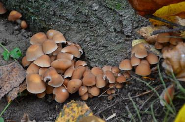 Similar image 21611233