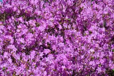 Similar image 21621166