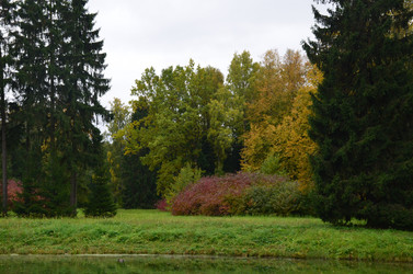 Similar image 21611236