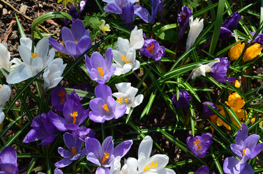 Similar image 21621116