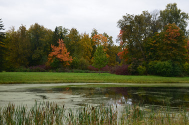 Similar image 21611238