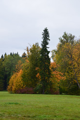 Similar image 21611239