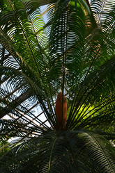 Similar image 21621117