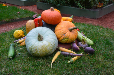 Similar image 21611243